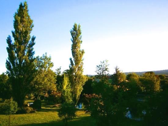 Mas Le Pont Des Aubes Bed and Breakfast LʼIsle-sur-la-Sorgue Eksteriør billede