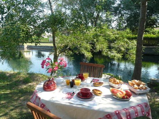 Mas Le Pont Des Aubes Bed and Breakfast LʼIsle-sur-la-Sorgue Eksteriør billede
